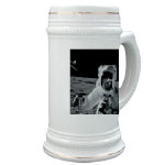 Alan Bean on the Moon Apollo 12 Stein