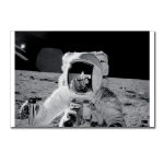 Bean on Moon Postcards (Package of 8)