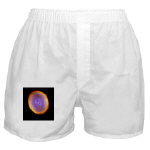 IC 418 The Spirograph Nebula Boxer Short