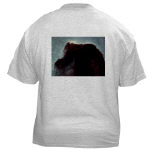 Horsehead Nebula Ash Grey T-Shirt