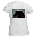Horsehead Nebula Jr. Baby Doll T-Shirt