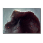 Horsehead Nebula Postcards(Package of 8)