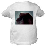 Horsehead Nebula Infant/Toddler T-Shirt