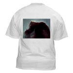 Bernard 33 The Horsehead Nebula Kids T-S