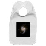 NGC 3310 Spiral Galaxy Bib